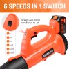 Blütezeit Cordless Leaf Blower 4.0Ah Battery Powered for Lawn Care