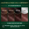 Tinte para cabello Nutrisse Oleos sin amoniaco 6.21 rubio oscuro