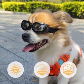 PETLESO Dog Goggles Small Breed, Dog Sunglasses Small Breed Eye Protectie Goggles for Small Dogs Outdoor Riding Driving, Clear