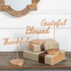 Fun Express Thanksgiving Phrase Tabletop Signs - 3 Pc