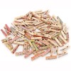 ANCLLO 100Pcs 3.5cm/1.38in Colorful Painted Wood Clothespin for Photo Clips