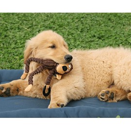 Dog Toy, Squeaky Toy, Dog Chew Toy, Dental Care, Dog Chew Toy, Dental Training, Plush Dog Toy, Durable Puppy Toy for Puppies, Large, Medium Dogs (Monkey)