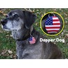 Dapper Dog - Dog Tag Silencer with Tag Ring (US