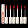 Reverible Waterizing Tint 4g / 리베리블 워터라이징 틴트 4g X 2개