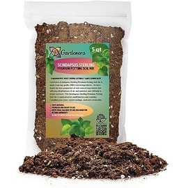 Organic Scindapsus Sterling Plant Soil Mix by Gardenera - Cultivate Variegation Excellence with Natural and Nutrient-Rich Formula - 5 Quart