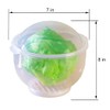 WalterDrake Lettuce KeeperTM - Lettuce Crisper Salad Keeper Container Keeps