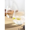 LEONARDO HOME CESTI Drinking Glass 460 ml