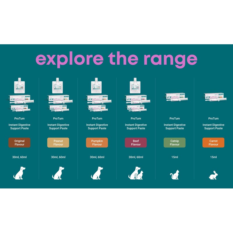 Zanipro Probiotic Refill Pouch for Dogs - 150ml Paste Prebiotic