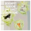 Febreze Auto Lufterfrischer 2ml, Auto Clip Starterset Frühlingserwachen, Auto Duft