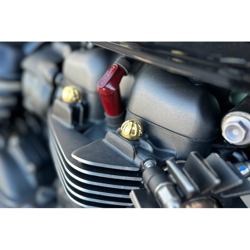 Motone MMU070 Engine Bolt Cap T100 T120 Street Twin, Street