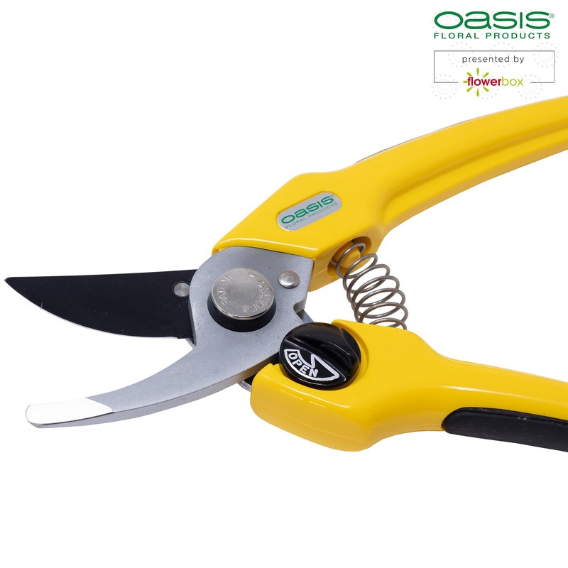Flowerbox Oasis® Professional Florist Scissors, Pack of 1