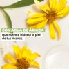 Yves Rocher Pack Crema Manos Secas Pur Arnica Hidratante Larga
