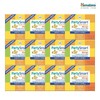 Himalayas Himalaya Hangover Relief Low Sugar Party Smart Chew Mango 10 pieces, 12 boxes / 히말라야 숙취해소 저당 파티스마트 츄 망고 10개입 12박스