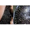 10 Cuidado Facial Mascarilla Negra Carbón Act Puntos Negros Todo