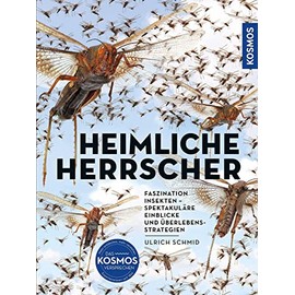 Insekten - Heimliche Herrscher: FASZINATION INSEKTEN –SPEKTAKULÄRE EINBLICKE UND ÜBERLEBENSSTRATEGIEN