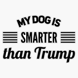 My Dog is Smarter Than Trump Design Anti Trump for 2020 Election Sticker Vinyl Decal Bumper Sticker 5"