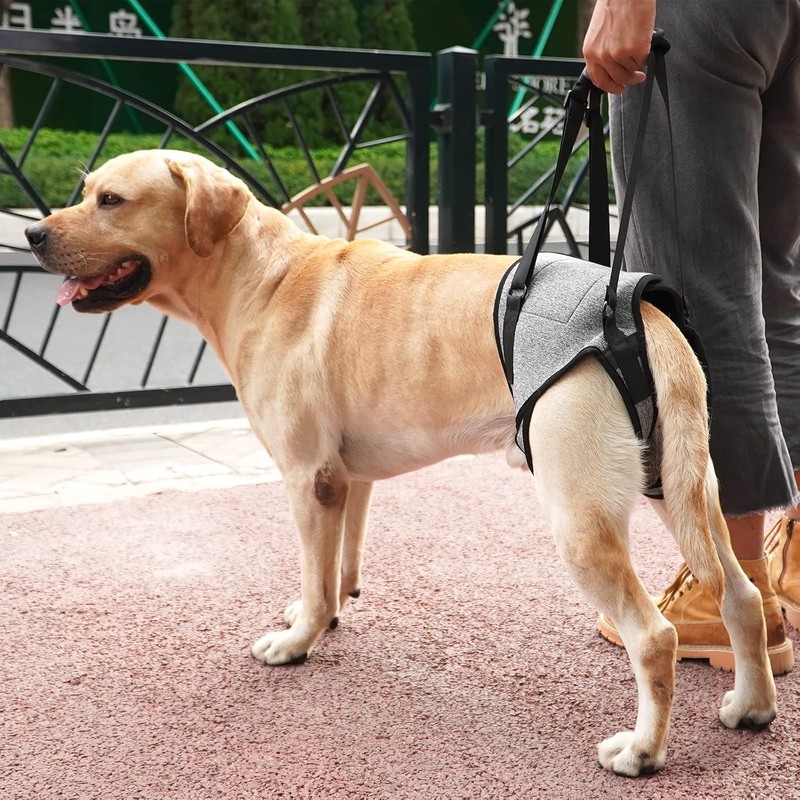 SOVYOULIVE Adjustable Dog Lift Harness Dog Sling for Large Dogs