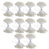 QANYEGN 900Pcs Flower Stamen, Double Heads Artificial Pearl Flower Stamen,