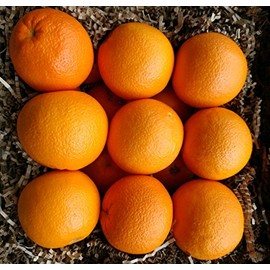 Organic Navel Oranges (15 Pounds)
