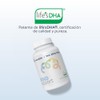 Nutriadn Mind Support Suplemento Alimenticio Omega Vegano Dha 300 Fosfatidilserina