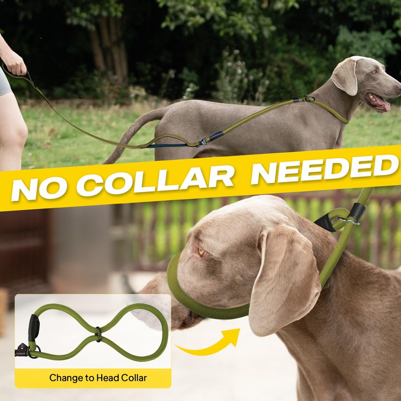 Fida 2-in-1 Slip Leads for Dogs with Double Handles, Tangle