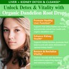 HZZYPLANT Dandelion Root Liquid Drops