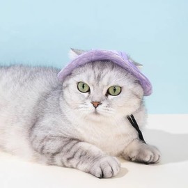 Pet Hat for Small Cats Dogs Summer Accessories Hats Pet Costume Hats Dog Visor Cap Sun Protection Hat Adjustable Cute Dog Decorations Cap Pets Sunscreen Head Wear Pets Suncare Caps for Dogs Cats