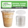 Iced Coffee Go Cups and Lids | Cold Smoothie |