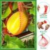 100Pcs Watermelon Nets,Melon Hammock Hanging Cantaloupes Support Net,Reusable Mesh Bags