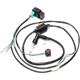 Fuerduo Wire Harness CDI Ignition Coil Spark Plug Wiring Loom for Kick Start Dirt Pit Bike 49cc 50cc 70cc 110cc 125cc 140cc 160cc