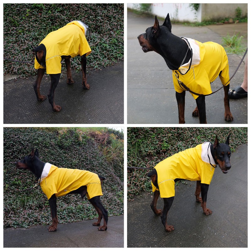 Four-Legged Full Coverage Waterproof Dog Raincoat with Reflective Features Pet