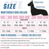 Soft Leather Martingale Dog Collar - Adjustable Rose Gold Limited