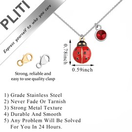 PLITI Ladybug Lover Gift Good Luck Ladybug Gift Ladybug Symbol Gift Red Ladybug Necklace For Animal Lover (Ladybug Symbol necCA)