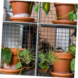 BESPORTBLE 3pcs Air Plant Holders Stainless Steel Hanging Hooks for Tillandsia Stylish Air Plant Wall Display Rack for Decor