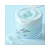 Dazayeon Blue Agabe Pore Sleeping Mask 100ml / 다자연 블루