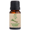 mocnhien Lemongrass Essential Oil Aroma Oil Essential Oil 100% Natural