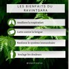 Ravintsara Essential Oil 30ml (Chemotype Cinnamomum Camphora) 100% Pure and