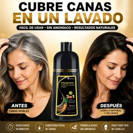 Shampoo Tinte Cubre Canas Ginseng Color Natural Hombremujer                                                                                           
