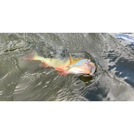 Savage Gear Craft Dying Minnow - Ultra Realistic Soft Plastic Bait for Freshwater and Saltwater Fishing, Natural Swimming Action, Bass, Perch, Walleye and Multiple Fishing Roach 7.5 cm