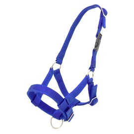 PFIFF 103101 Alpaca Halter "Pako", Adjustable Size for Alpacas, with Clip Closure, Dark Blue