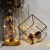 Dreamworth 8 Lighting Model Plug in Led String Lights, 300
