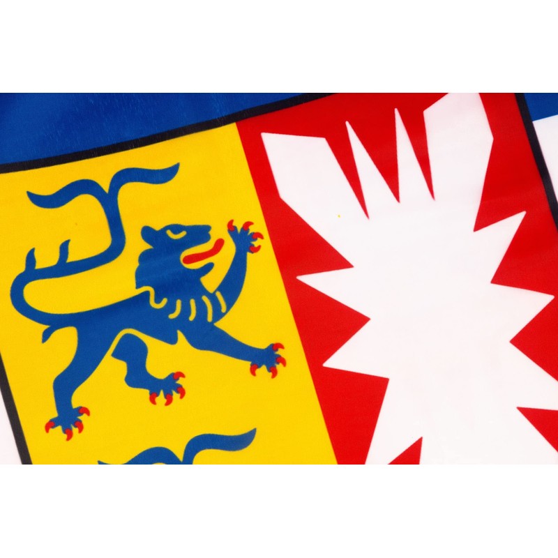 PHENO FLAGS Schleswig-Holstein Flag - Federal State Flag with Brass