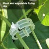 Dladhict 100PCS Secured Plastic Plant Clip, Upgrade Grape and Tomato