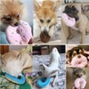 1Pc Blue Donut Shape Plush Blue Pet Toy,Lovely Donut Shaped