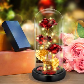 Eternal Rose in Glass, Mother's Day Gifts for Mum, Beauty and the Beast Eternal Rose, Rose in Glass with LED in a Glass Dome, Gifts for Women, Mum, Grandma, Girlfriend