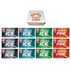 Dentyne Ice Sugar Free Gum, Variety Pack , 12 Packs of 16 Pieces By CANDY CABIN (ARCTIC-WINTER CHILL-SPEARMINT-FIRE)