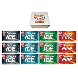 Dentyne Ice Sugar Free Gum, Variety Pack , 12 Packs of 16 Pieces By CANDY CABIN (ARCTIC-WINTER CHILL-SPEARMINT-FIRE)