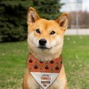 1 PCS Thanksgiving Dog Bandanas, Beige Turkey Taster Reversible Dog