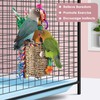 KATUMO Bird Foraging Toys, Seagrass Basket Bird Toy with Array