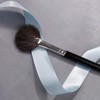 Fan Brush Professional Blush Brush Soft Vegan Synthetic Makeup Brush